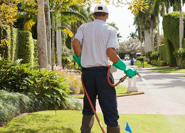 About Turin GA Pest Control Pros